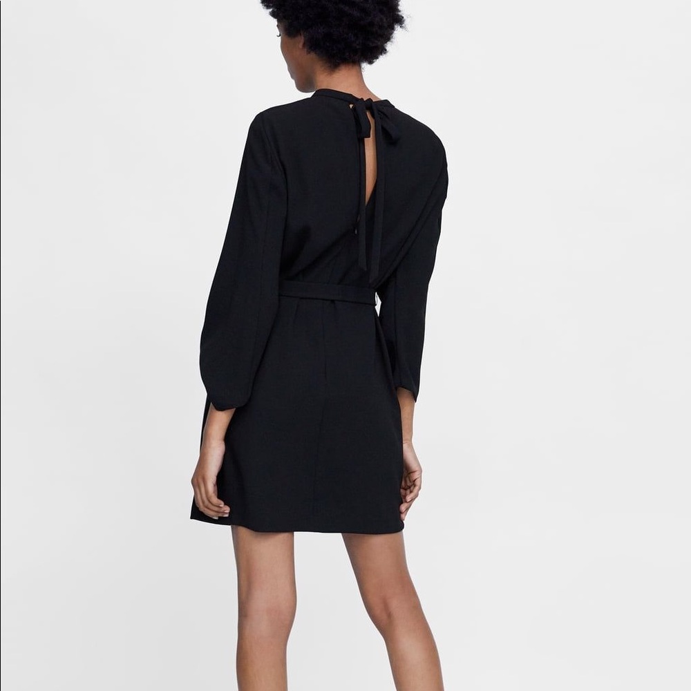 ZARA Ruffle Sleeve Tie Waist Dress